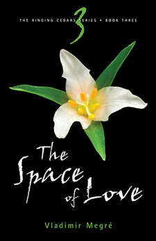 The Space of Love