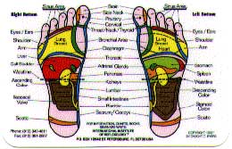 International Institute Of Reflexology Foot Chart