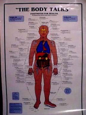 Body Reflexology Chart