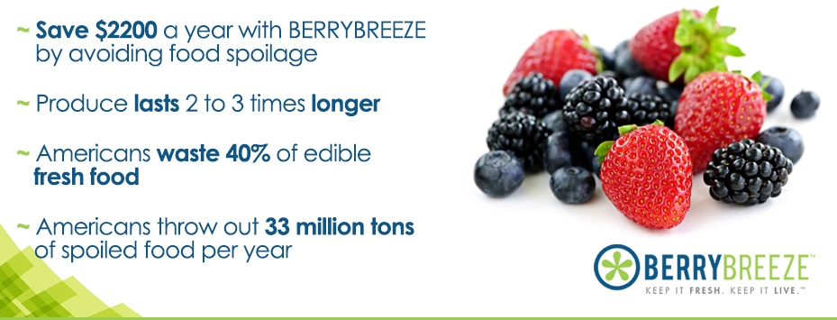berrybreeze keep fruit fresh