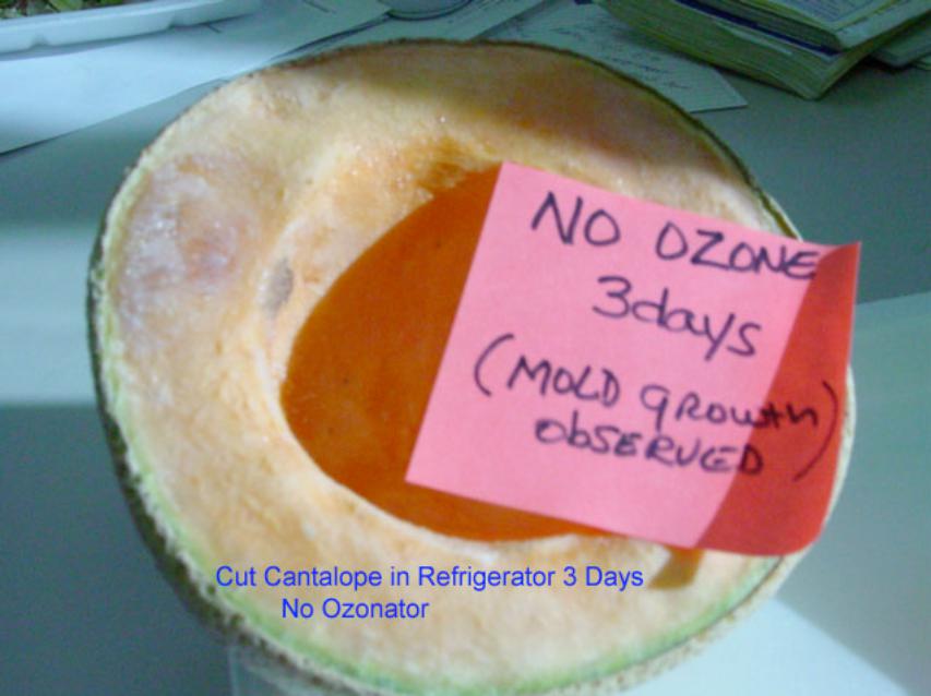 berrybreeze melon no ozone