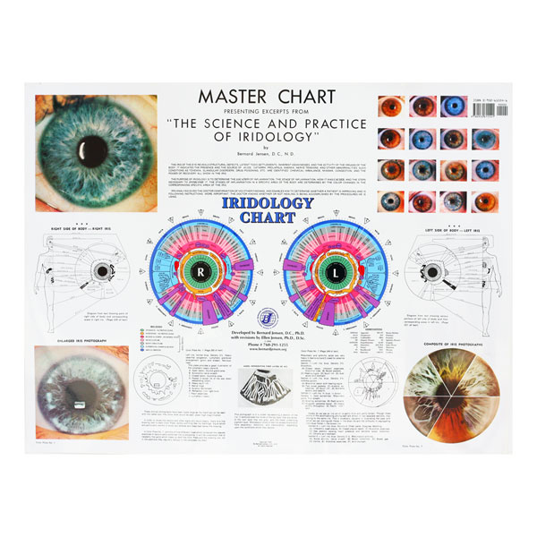 Dr Jensen Large Master Chart