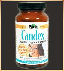 candex