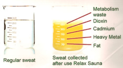 Relax sauna sweat vs regular sauna sweat