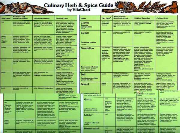 Health Benefits Of Spices Chart